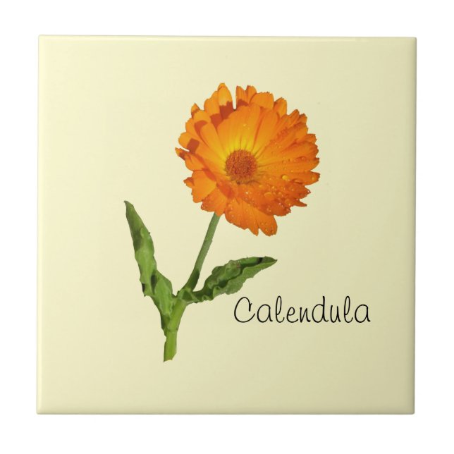 Tile - Calendula (Front)