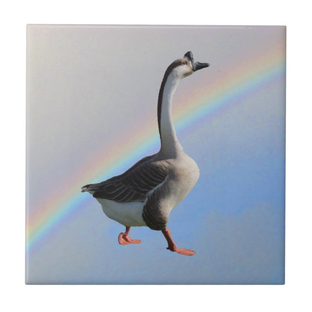 Tile - Goose and Rainbow (Front)