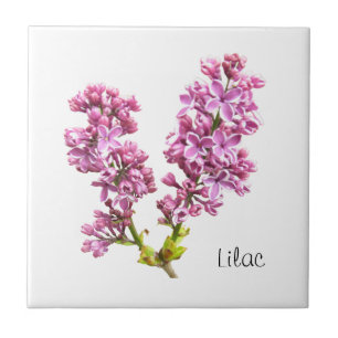 Tile - Lilac Blossoms