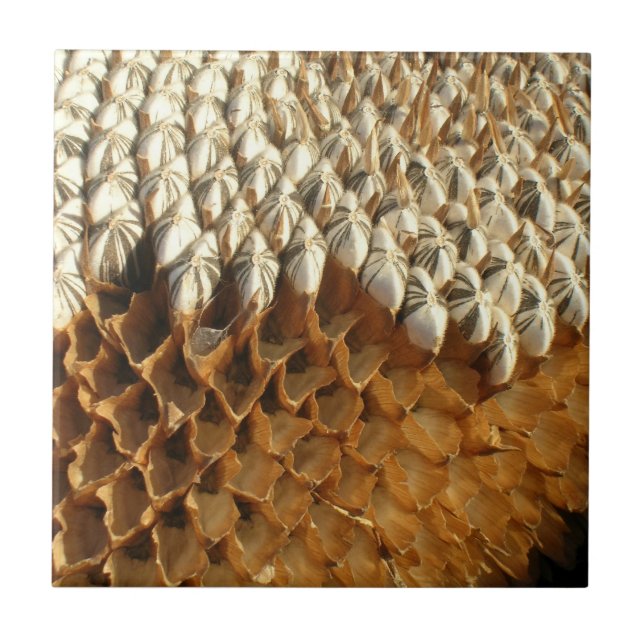 Tile - Sunflower seeds (Front)