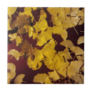 Tile / Trivet with Fall picture of yellow leaves