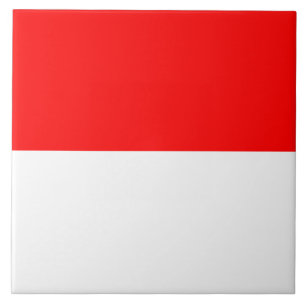 Tile with flag of Indonesia