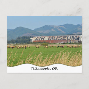 Tillamook, OR Postcard