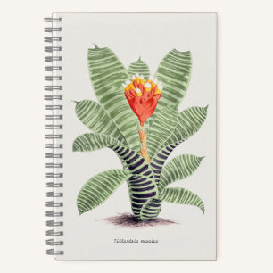 Tillandsia Musaica Notebook