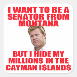 Tim Hides His Millions in the Cayman Islands Square Sticker