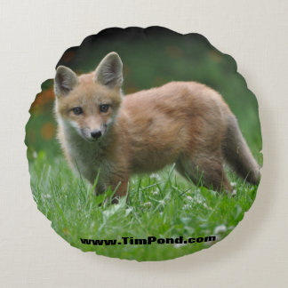 Tim Pond Wilderness Camps Throw Pillow