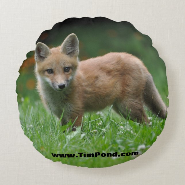 Tim Pond Wilderness Camps Throw Pillow (Front)