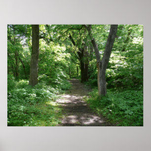 Timber Creek Nature Centre Poster