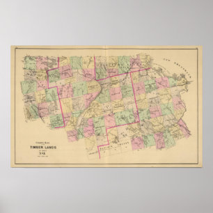 Timber lands 3 Map Poster