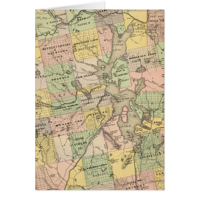 Timber lands 6 (Front)