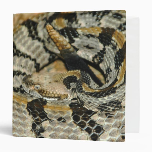Timber Rattlesnake Coil Binder (Front/Inside)