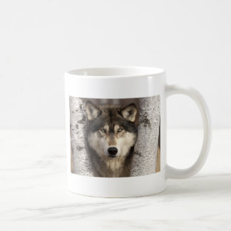 Timber wolf by Jim Zuckerman Coffee Mug