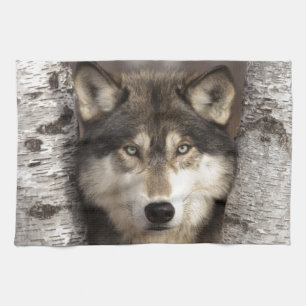 Timber wolf by Jim Zuckerman Kitchen Towel