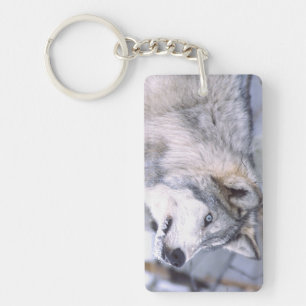 Timber Wolf, Canis lupus, Movie Animal Utah) Keychain