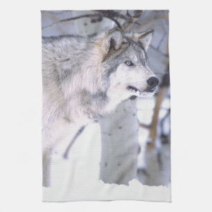 Timber Wolf, Canis lupus, Movie Animal Utah) Kitchen Towel
