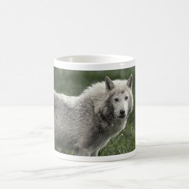 Timber wolf coffee mug (Center)