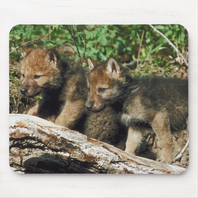 Timber wolf cubs mouse pad (Front)