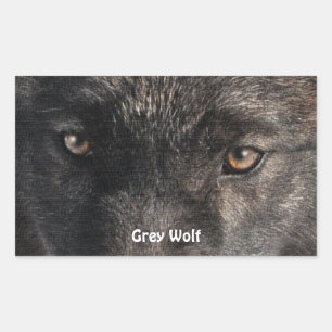 TIMBER WOLF EYES Stickers de soutien de la faune
