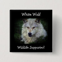 Timber Wolf Grey Wolf Wild Animal