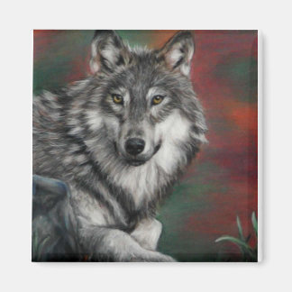 Timber wolf in autumn woods resting magnet