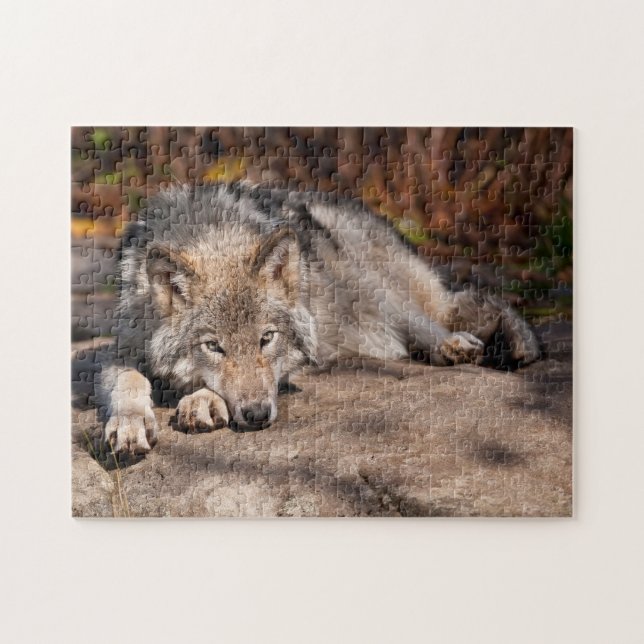Timber Wolf Jigsaw Puzzle (Horizontal)
