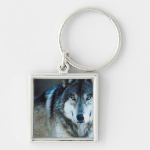 Timber wolf keychain