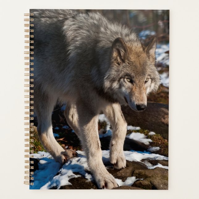 Timber Wolf Planner (Front)
