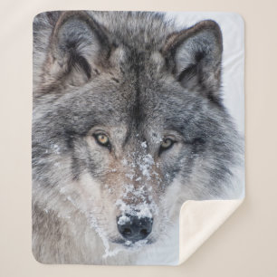 Timber Wolf Sherpa Blanket