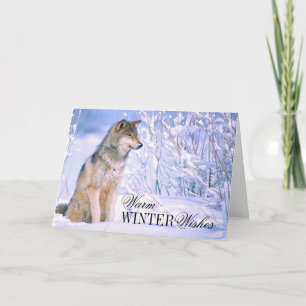 Timber Wolf Sitting in Snow Holiday Card