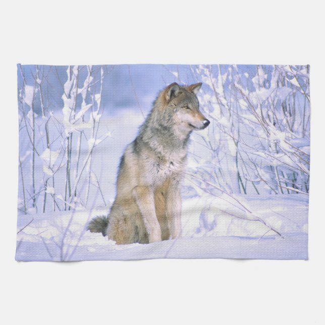 Timber Wolf sitting in the Snow, Canis lupus, Kitchen Towel (Horizontal)