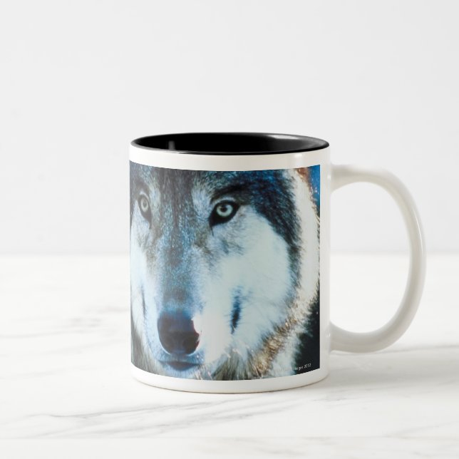 Timber wolf Two-Tone coffee mug (Right)