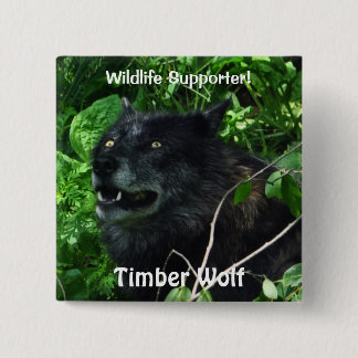 Timber Wolf Wildlife Photo pin