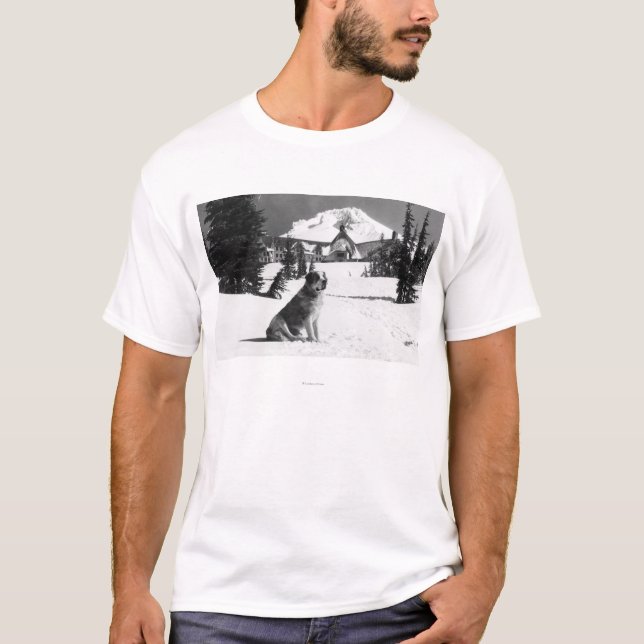 Timberline Lodge and "Lady" the owner's T-Shirt (Front)