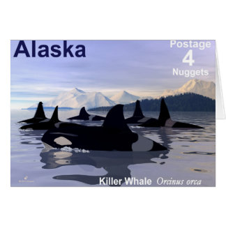 Timbre des baleines tueuses de l'Alaska