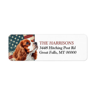 Timbres adresse de retour Grunge drapeau USA Épagn