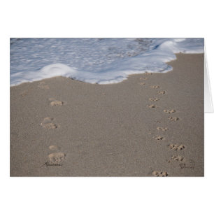 Time cannot be saved. Spend it wisely