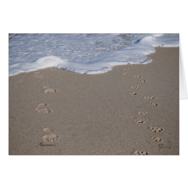 Time cannot be saved. Spend it wisely (Front Horizontal)