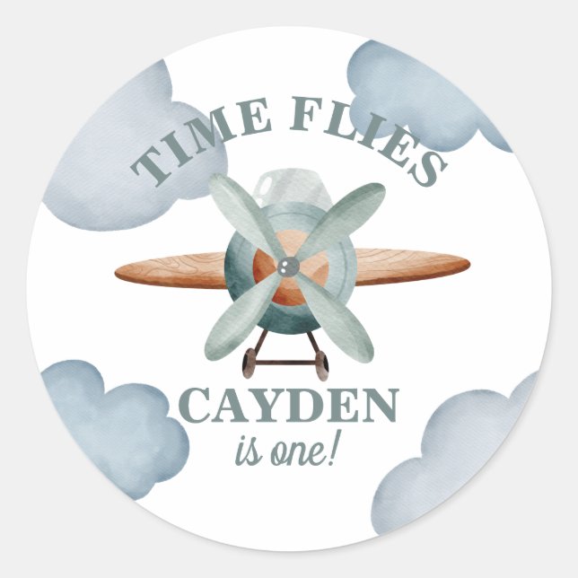 Time Flies Airplane Birthday Classic Round Sticker (Front)
