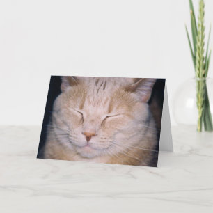 "Time for my close-up!" Card