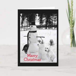 TIME FOR SNOW/FUN/WISHING YOU MERRY CHRISTMAS HOLIDAY CARD