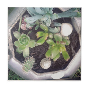 Time for tea?A planted tea kettle Tile