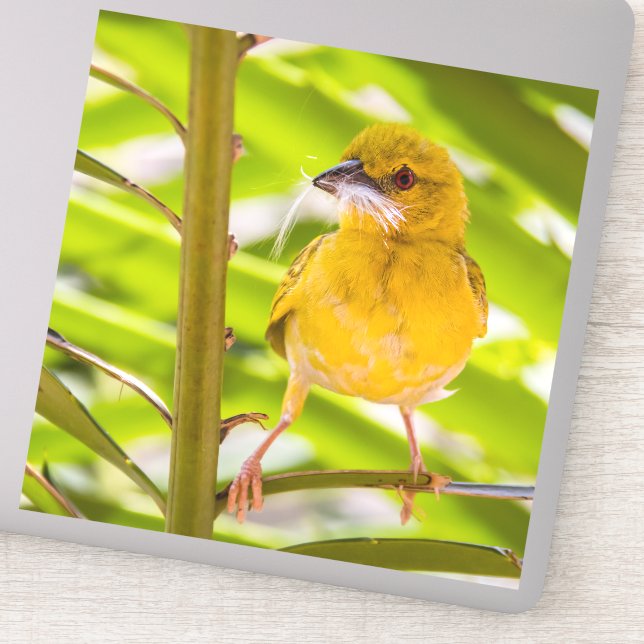 Time to build the nest (Detail)