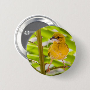 Time to build the nest 2 inch round button