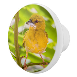 Time to build the nest ceramic knob