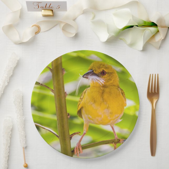 Time to build the nest paper plate (Wedding)