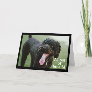 **TIME TO CELEBRATE YOUR 50th BIRTHDAY** Card