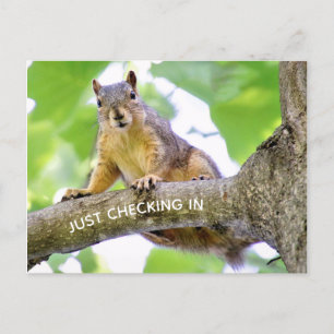 Time to Check In Postcard