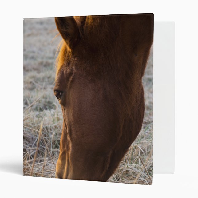 Time To Eat Binder (Front/Inside)