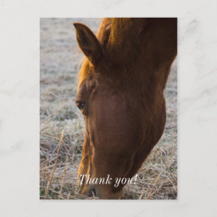 Time To Eat Thank You Postcard