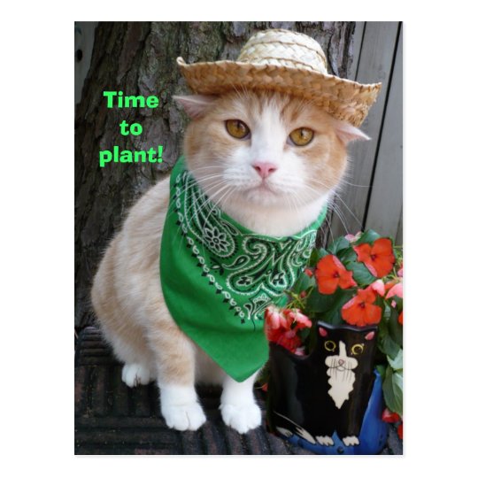 Time to Plant! Postcard